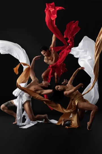 Harris Theater presents Black Grace tickets