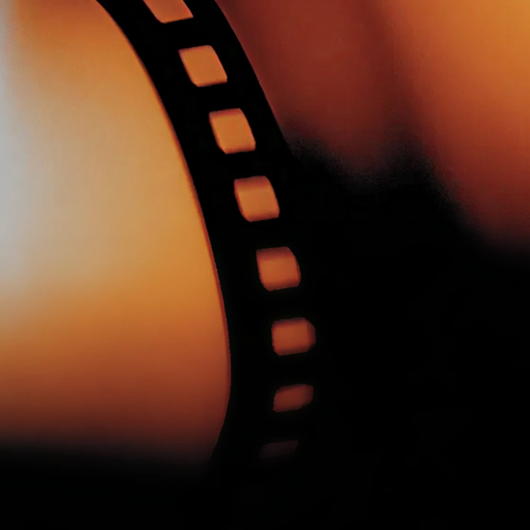 Cinema under the stars