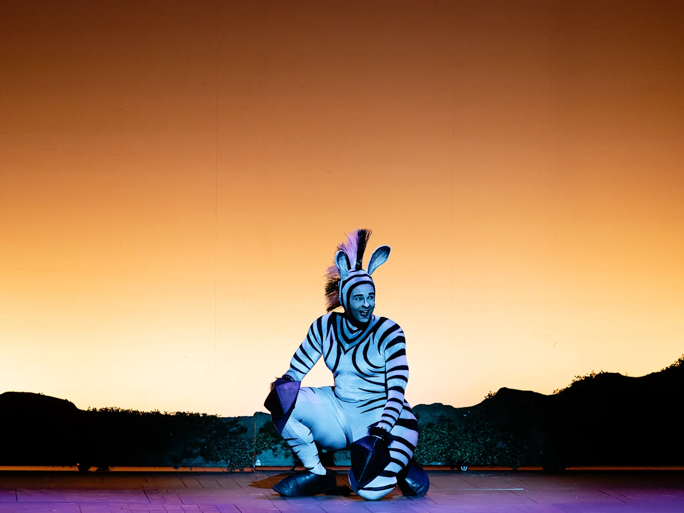 Madagascar The Musical Tickets | Sydney | TodayTix