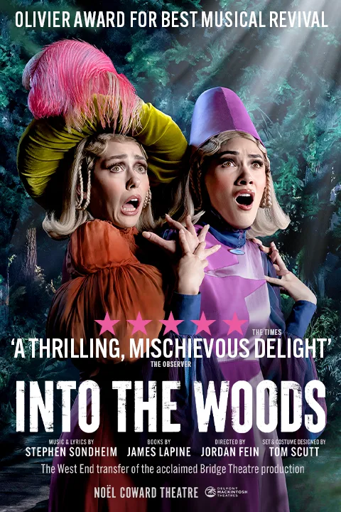 Product image for Into The Woods