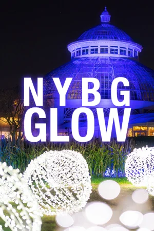 NYBG GLOW: An Outdoor Color & Light Experience Tickets