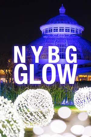 NYBG GLOW: An Outdoor Color & Light Experience tickets