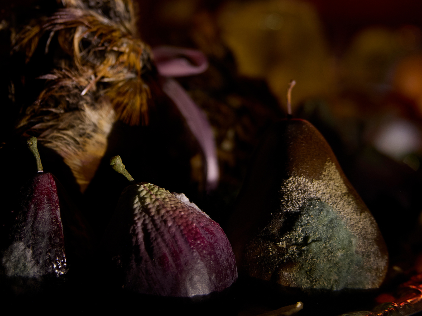 Viola's Room: What to expect - 4