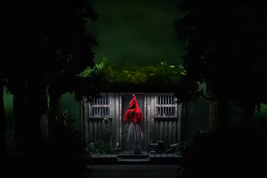 Into The Woods: What to expect - 2
