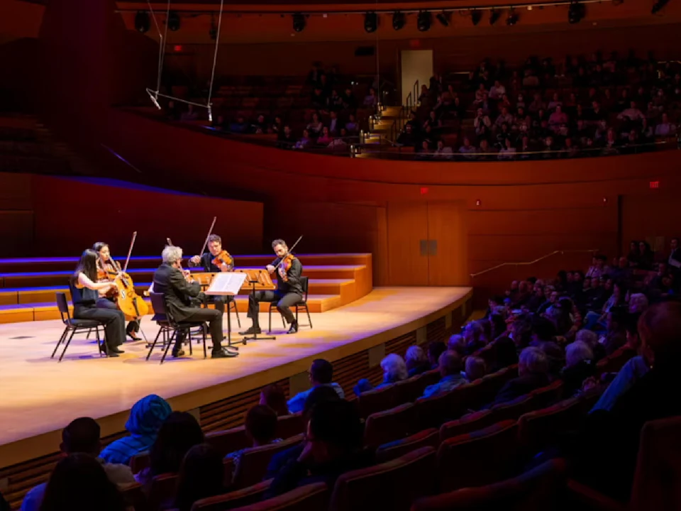 Brahms Strings: What to expect - 1