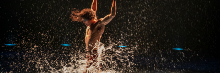 Cirque du Soleil: Luzia review – sometimes bigger really is better, Cirque  du Soleil