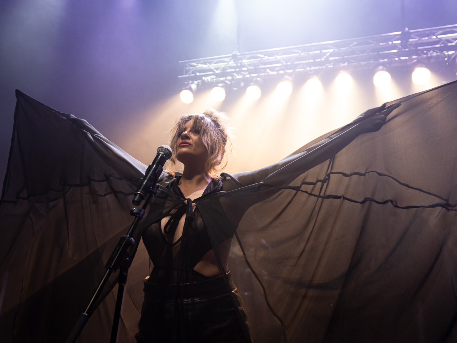 Amplified: The Exquisite Rock and Rage of Chrissy Amphlett: What to expect - 4