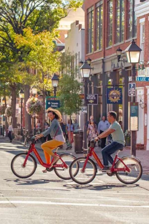 Alexandria to Mount Vernon eBike Rentals