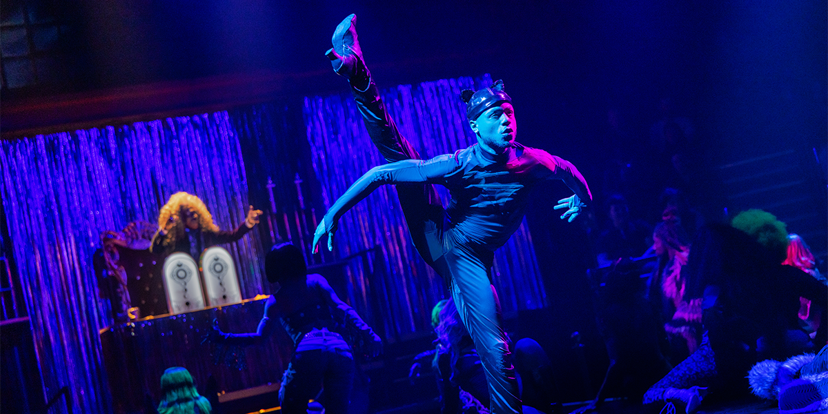 11 cats bway-1200x600-NYTG