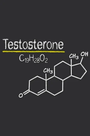 ExPats Theatre: Testosterone