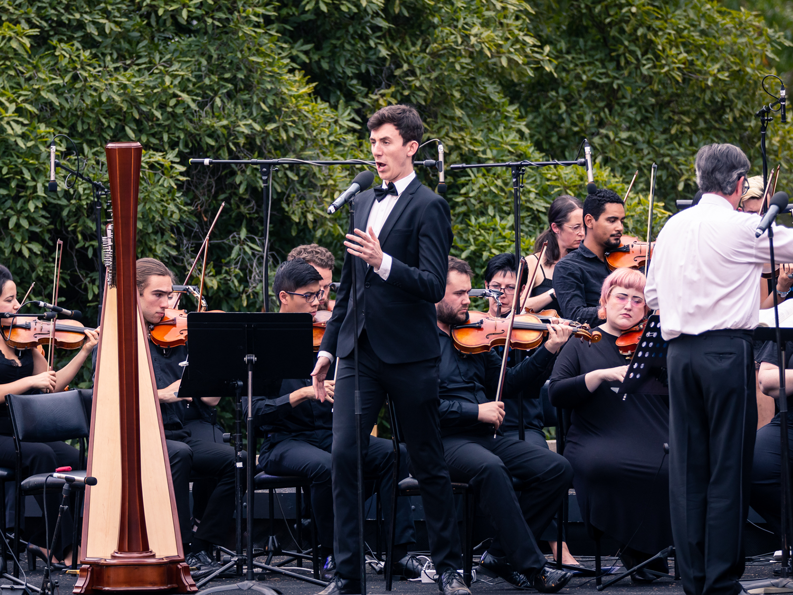 Mozart by Moonlight presented by The Australian Shakespeare Company: What to expect - 4