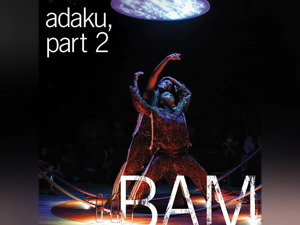 adaku, part 2: What to expect - 1