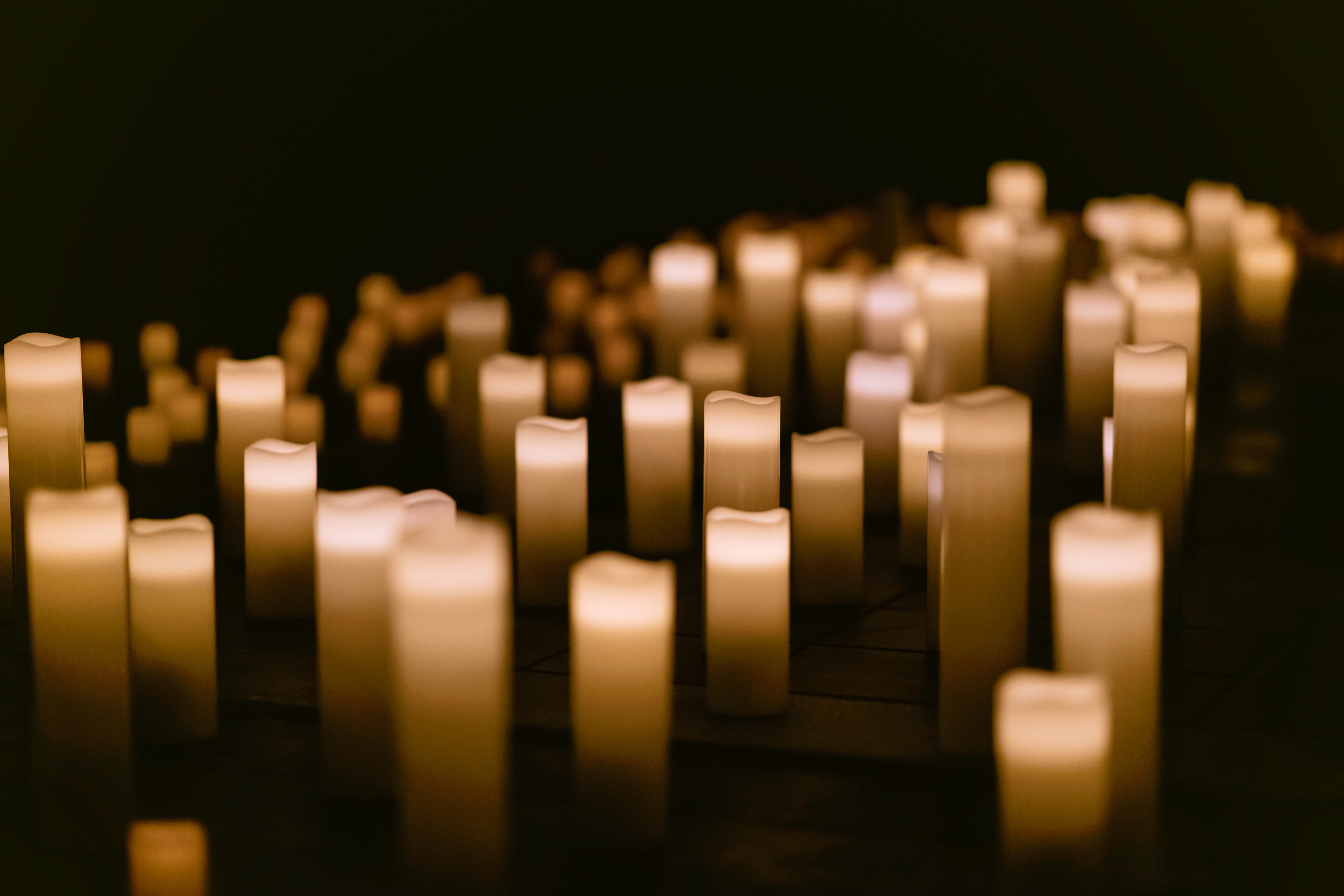 Musicals by Candlelight: Rodgers and Hammerstein: What to expect - 4