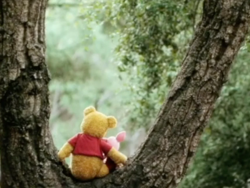 Winnie The Pooh: The New Musical Adaptation: What to expect - 1