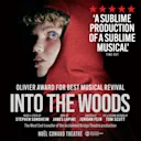 Into The Woods
