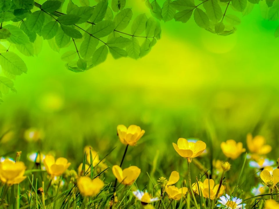 Easter Bunny HOP: What to expect - 3