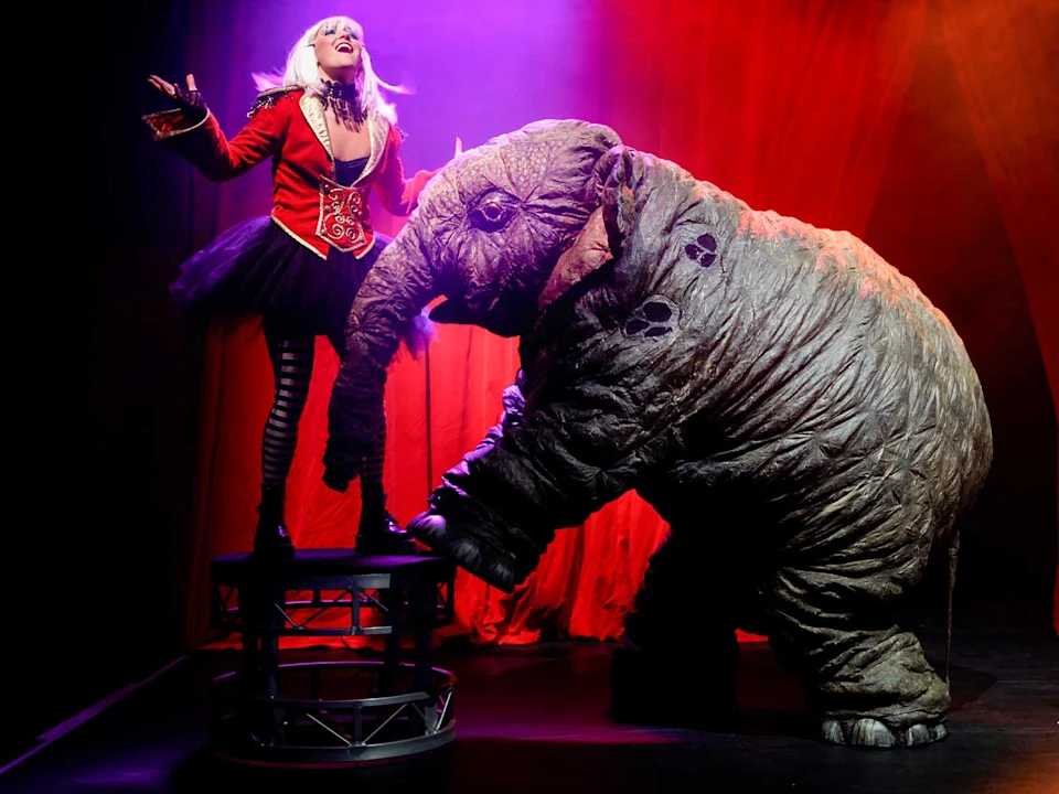 Sawdust: What to expect - 2