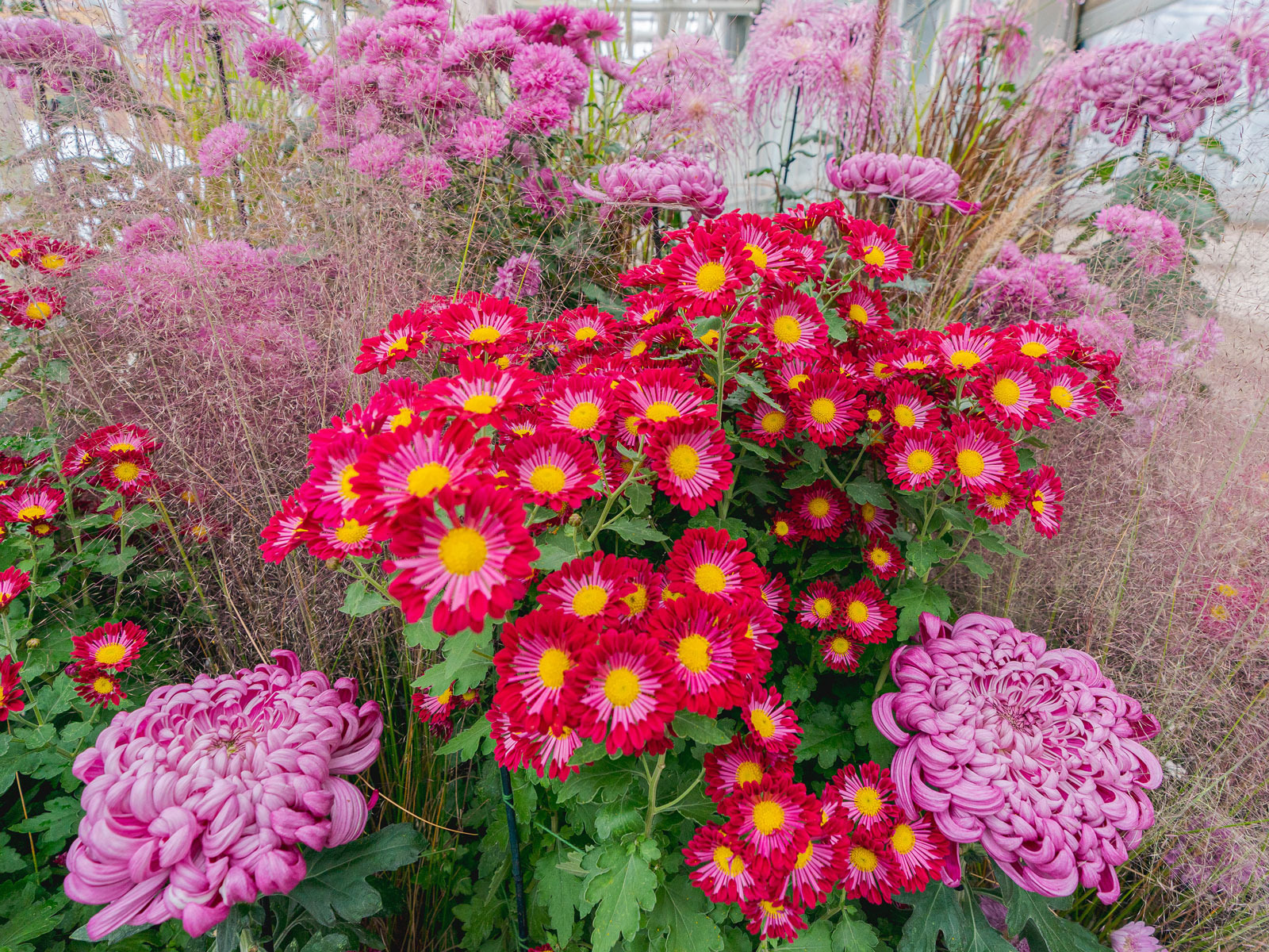 Autumn on Tap: What to expect - 3