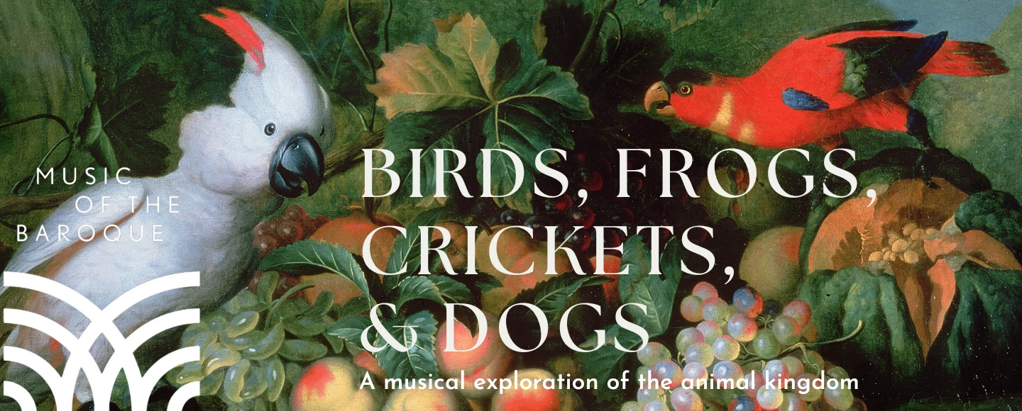 Music of the Baroque: Birds, Frogs, Crickets, & Dogs: What to expect - 1