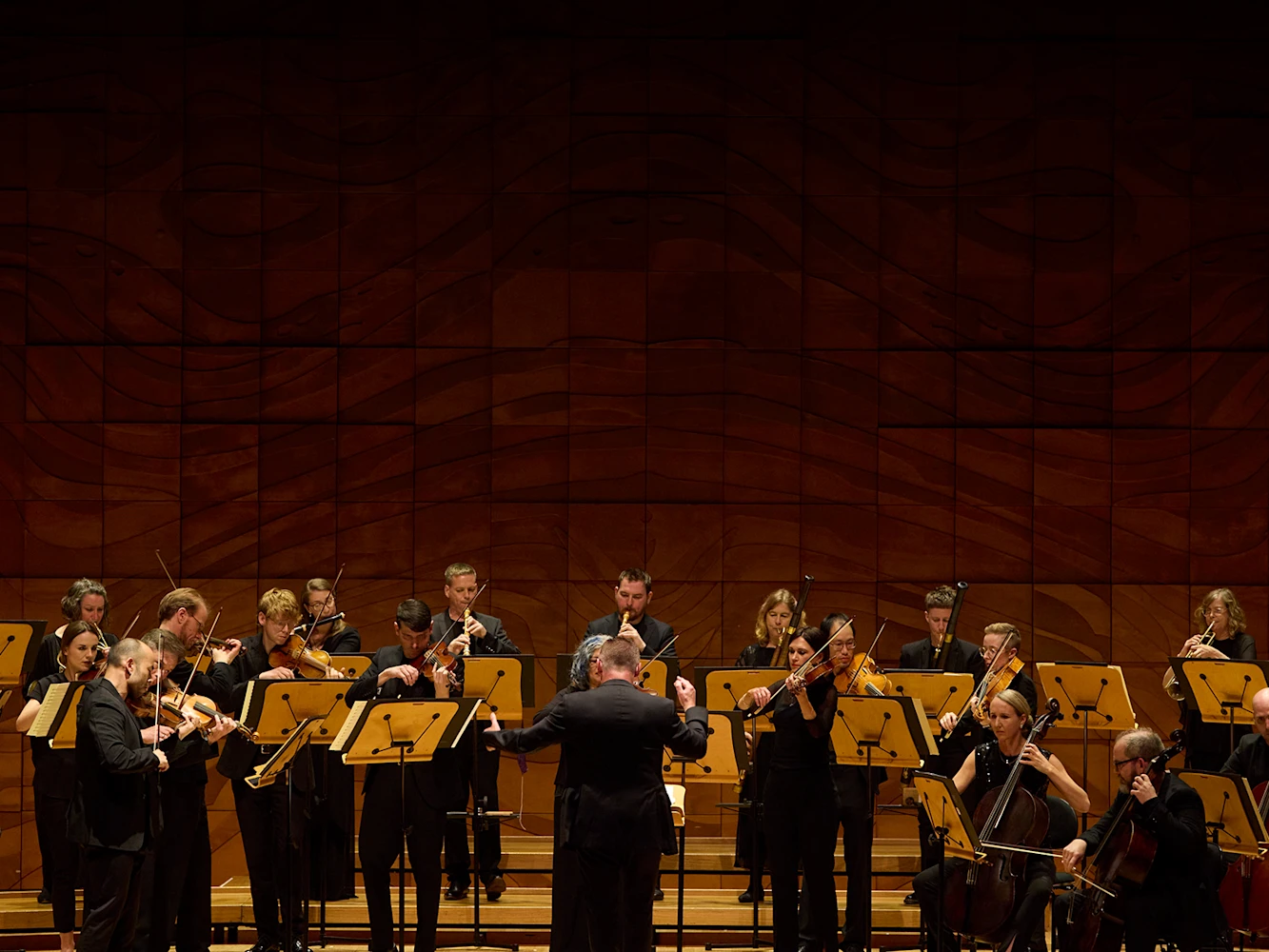Mozart, Salieri & Pleyel: What to expect - 3