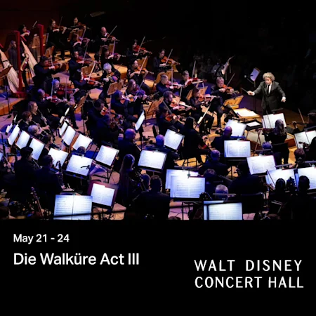 Die Walküre Act III