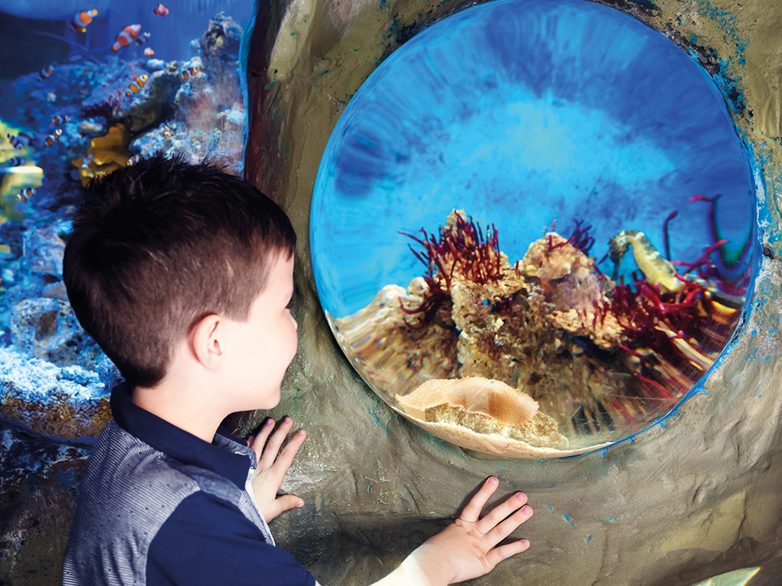 Sea Life London Standard Entry: What to expect - 1