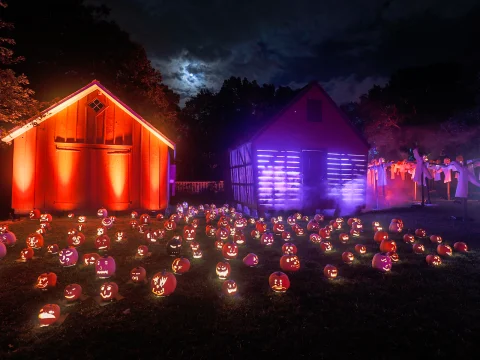The Great Jack O’Lantern Blaze: Long Island: What to expect - 3