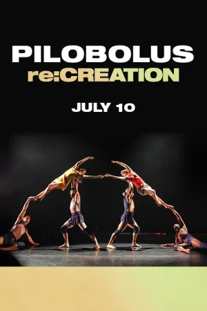 Pilobolus: re:CREATION