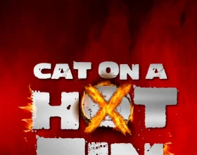 Cat on a Hot Tin Roof : What to expect - 5
