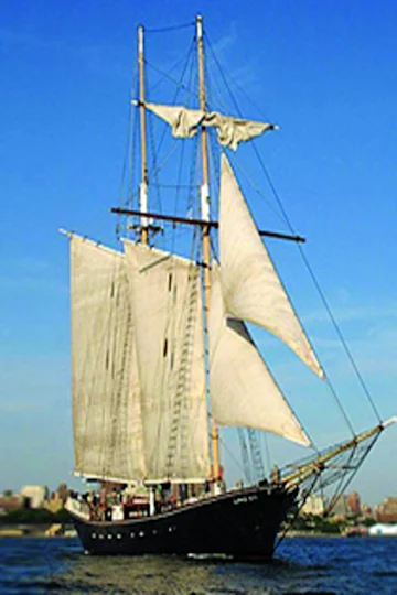 Daytime Statue of Liberty and City Lights Sails Aboard the Clipper City Tall Ship tickets