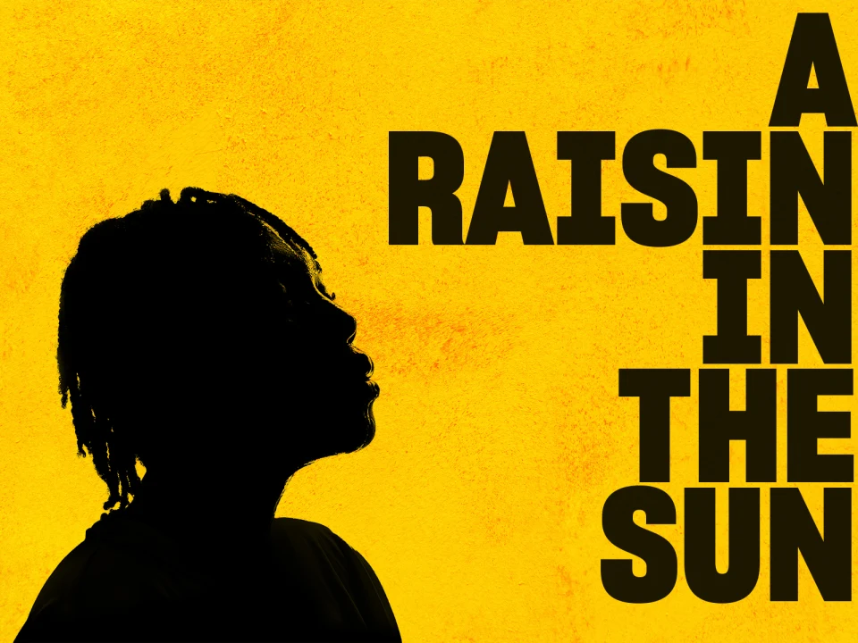 Raisin in the Sun: What to expect - 1