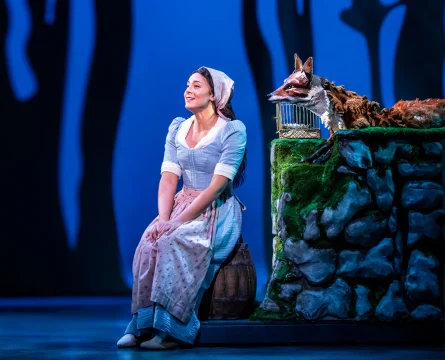 Rodgers + Hammerstein's Cinderella: What to expect - 3