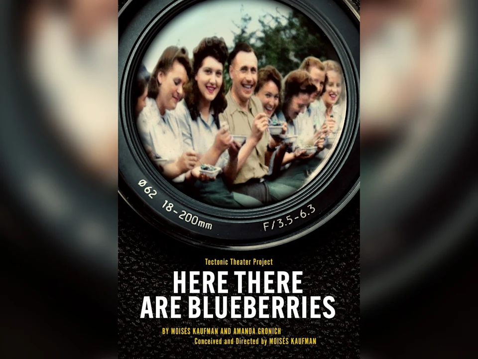 Here There Are Blueberries: What to expect - 1