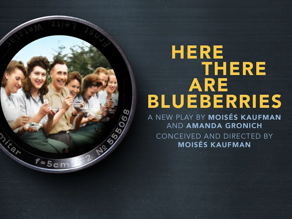 Here There Are Blueberries: What to expect - 1