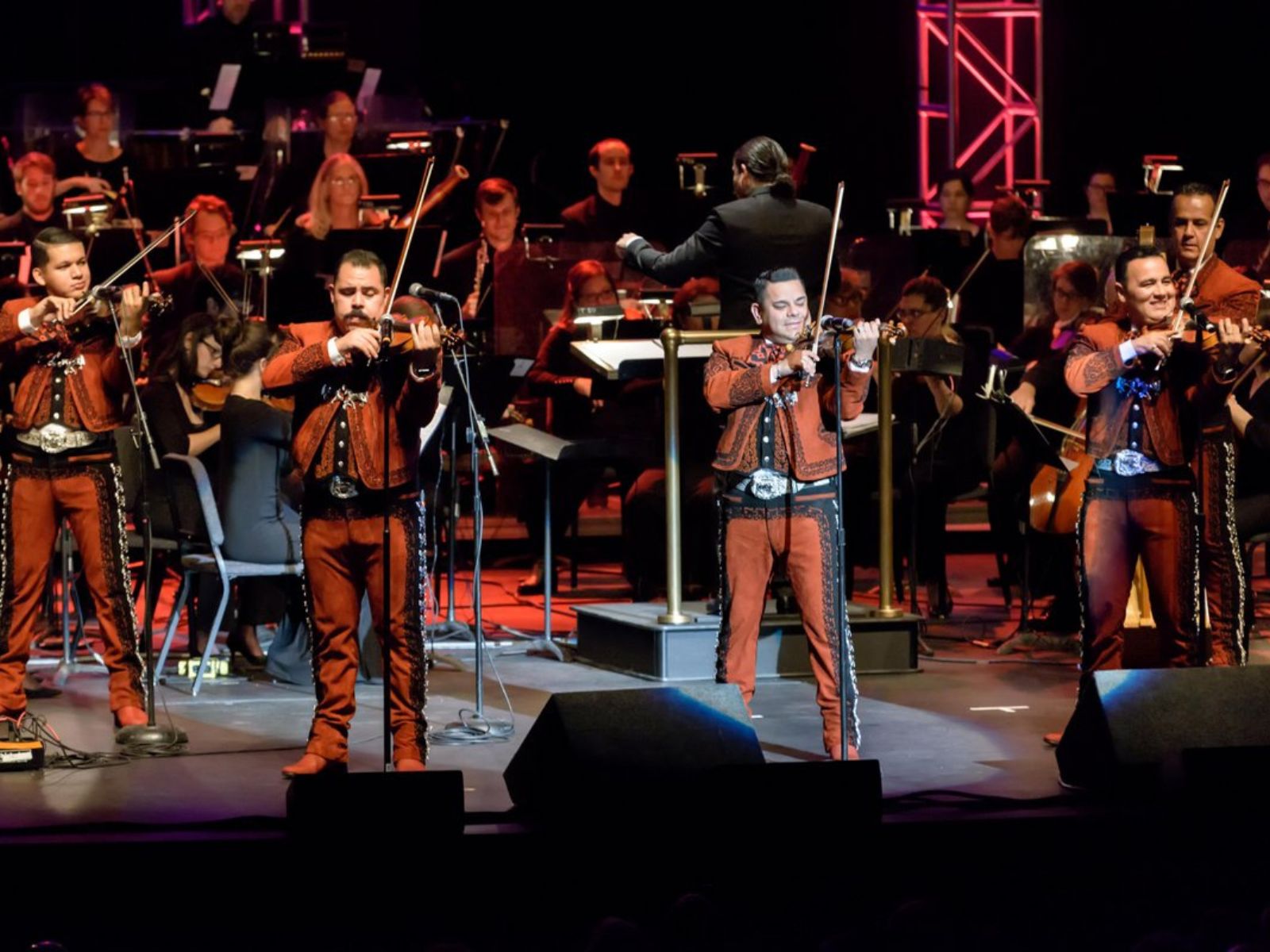 Fiesta Navidad: What to expect - 1