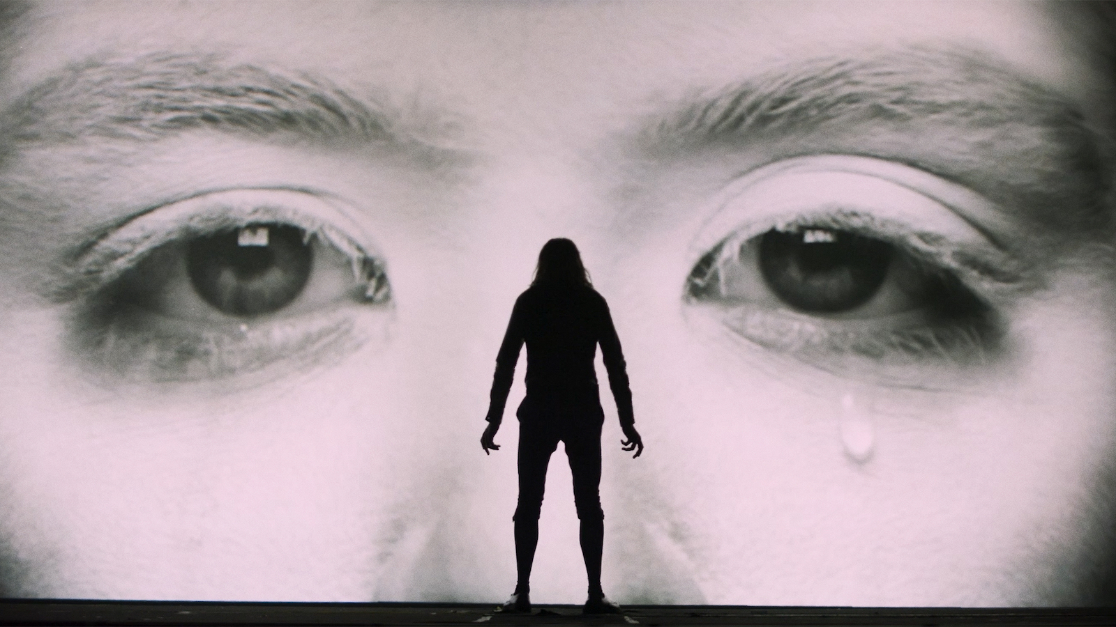 Cages : What to expect - 3