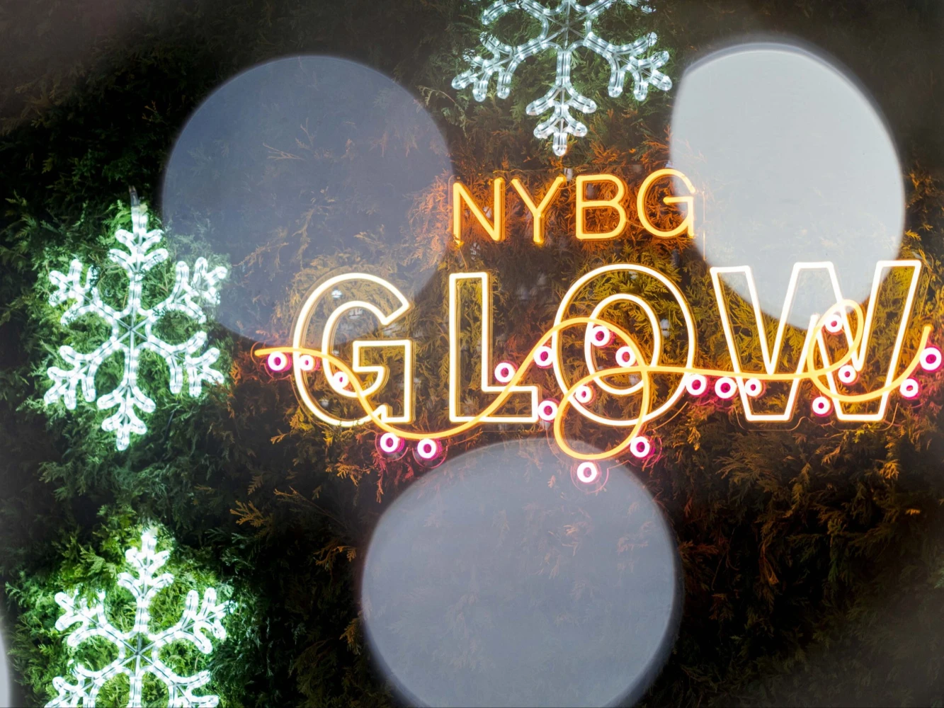 NYBG GLOW: An Outdoor Color & Light Experience: What to expect - 6