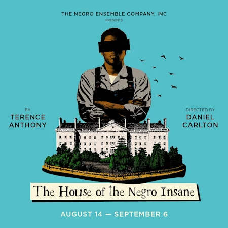 The House of the Negro Insane