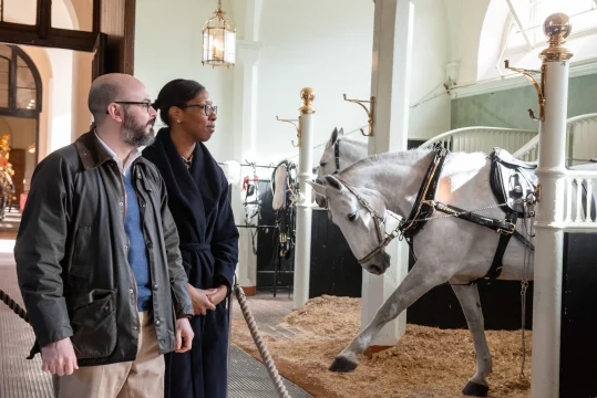 Buckingham Palace Royal Mews: What to expect - 2