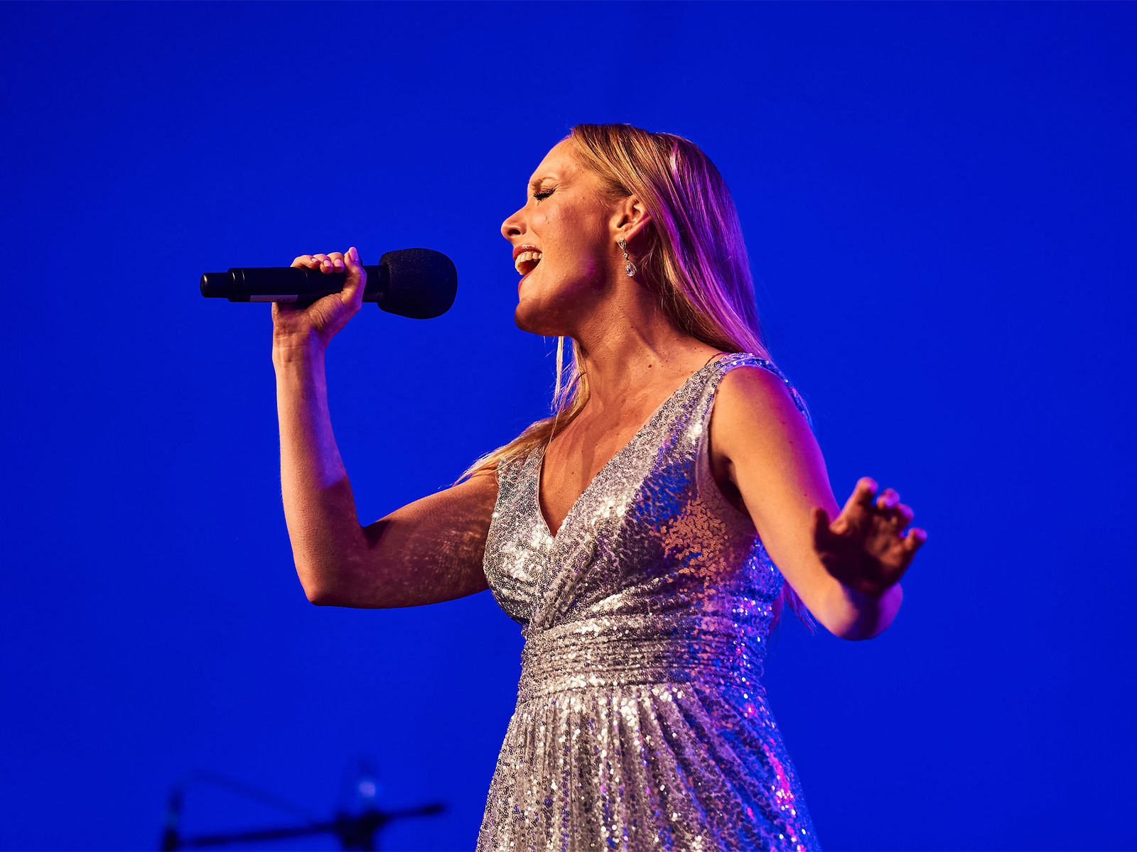 BATTERSEA PARK IN CONCERT: A Night At The Musicals Tickets | London Theatre