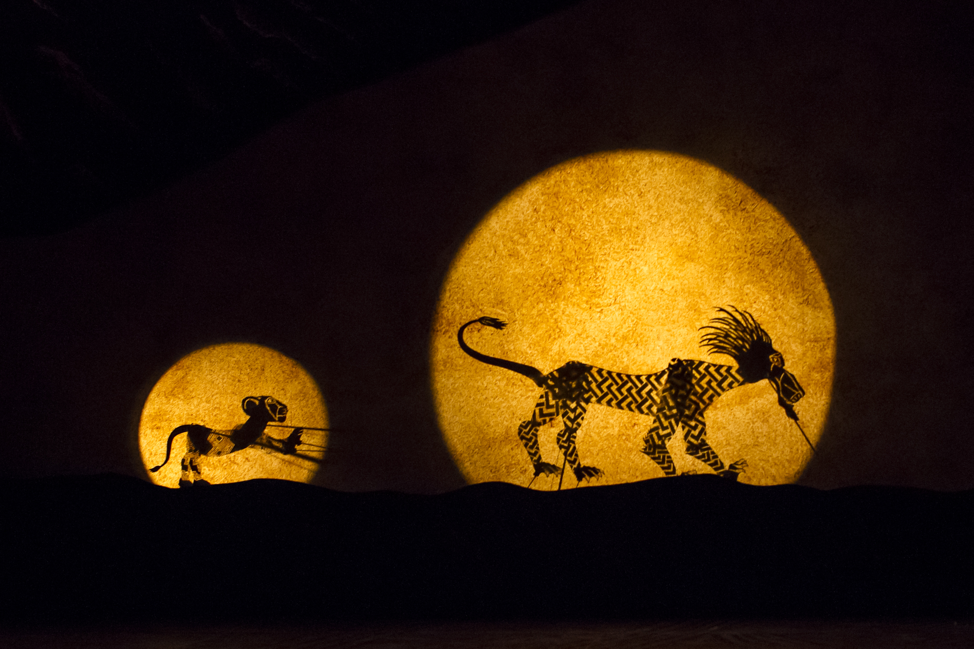 The Lion King: What to expect - 5