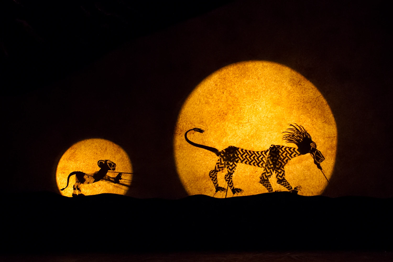 The Lion King: What to expect - 4