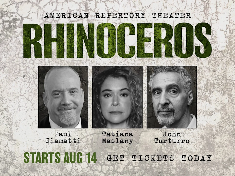 Rhinoceros: What to expect - 1