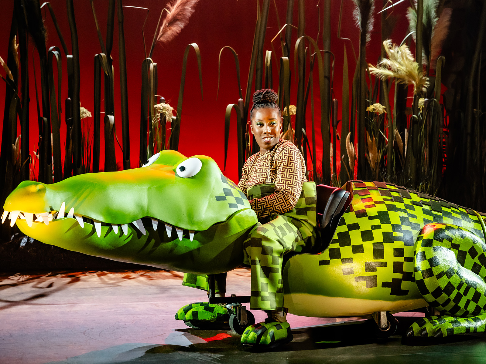 The Enormous Crocodile: What to expect - 3