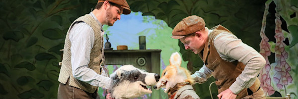 Where is Peter Rabbit?