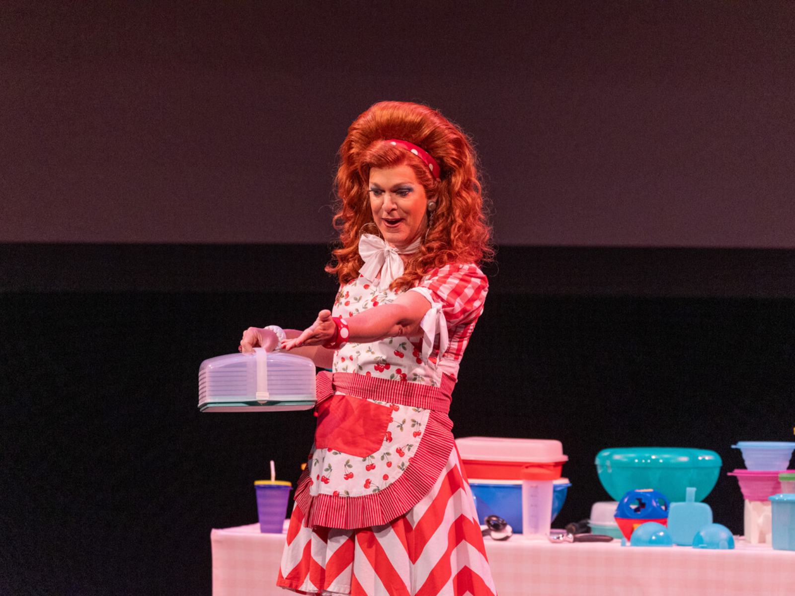 Dixie's Tupperware Party: What to expect - 5