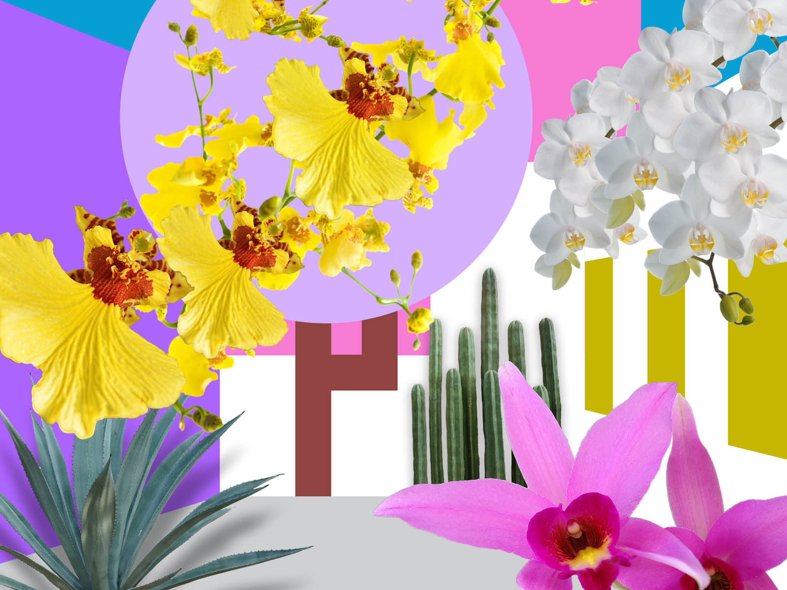 The Orchid Show: Mexican Modernism tickets | The Bronx, New York