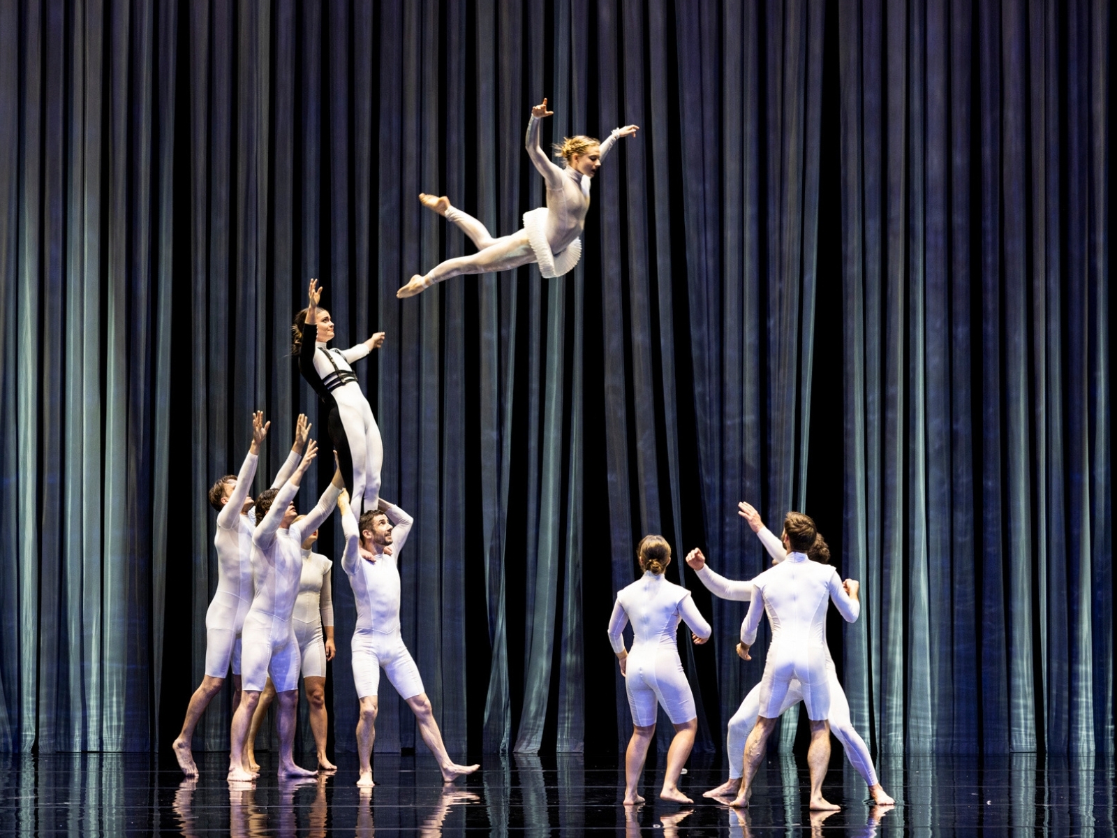 Duck Pond: What to expect - 2