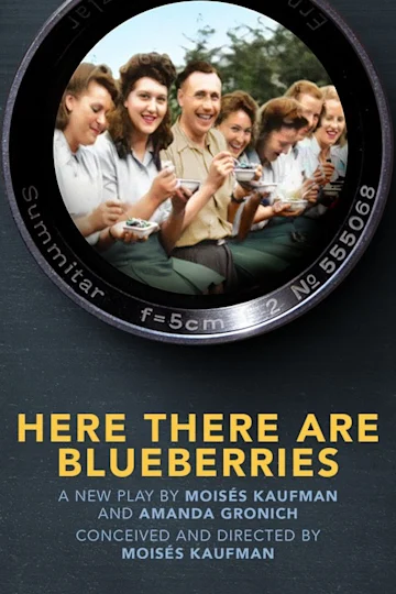 Here There Are Blueberries on Broadway tickets