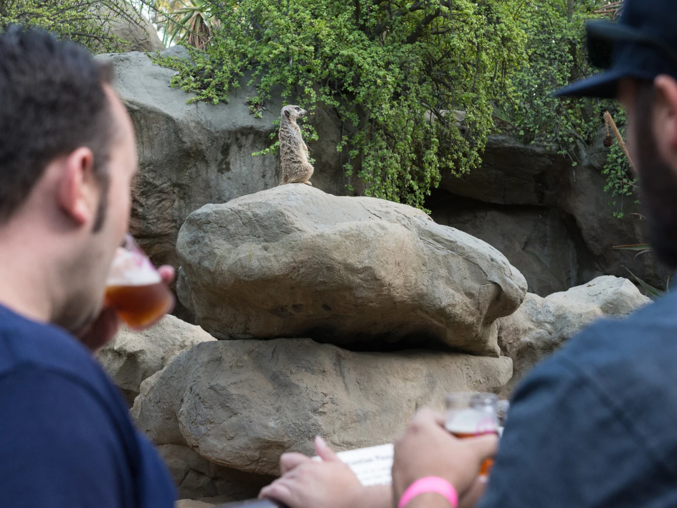 Brew at the L.A. Zoo: A Sip & Stroll Event: What to expect - 7